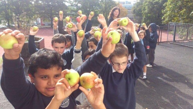 Eco Drama - School Orchards - Anderson Primary School orchard harvest
