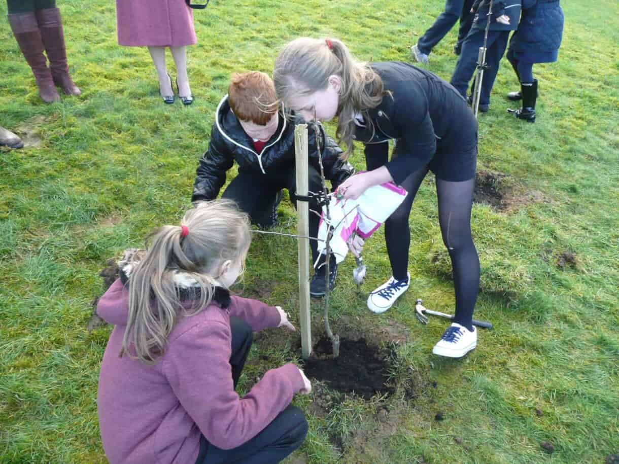 Eco Drama - School Orchards - tree planting